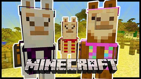tame llama minecraft|How to tame & breed Llamas in Minecraft .